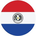 Country Flag Paraguay