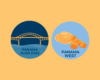 MLBA Panama Banner
