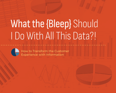 eBook Bleep Data Banner