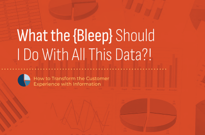 eBook Bleep Data Thumbnail